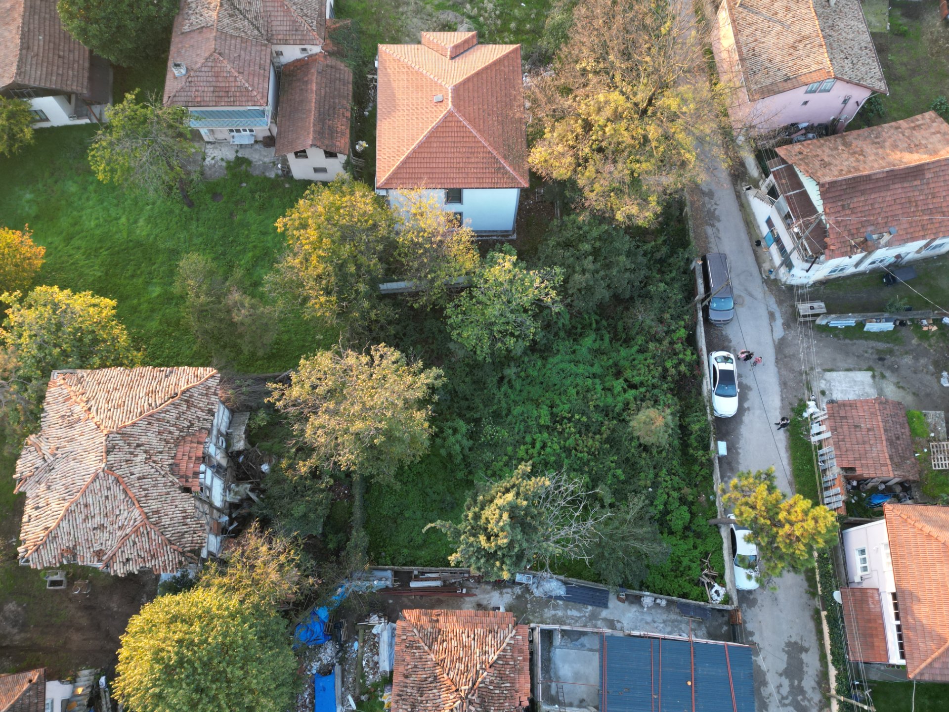 Sakarya Hendek Başpınar’da Satılık Bahçeli Ahşap Ev | 615 m² Arsa İçinde Kuyu | Doğa İçinde Yaşam - Satılık Arsa fotoğraf 10