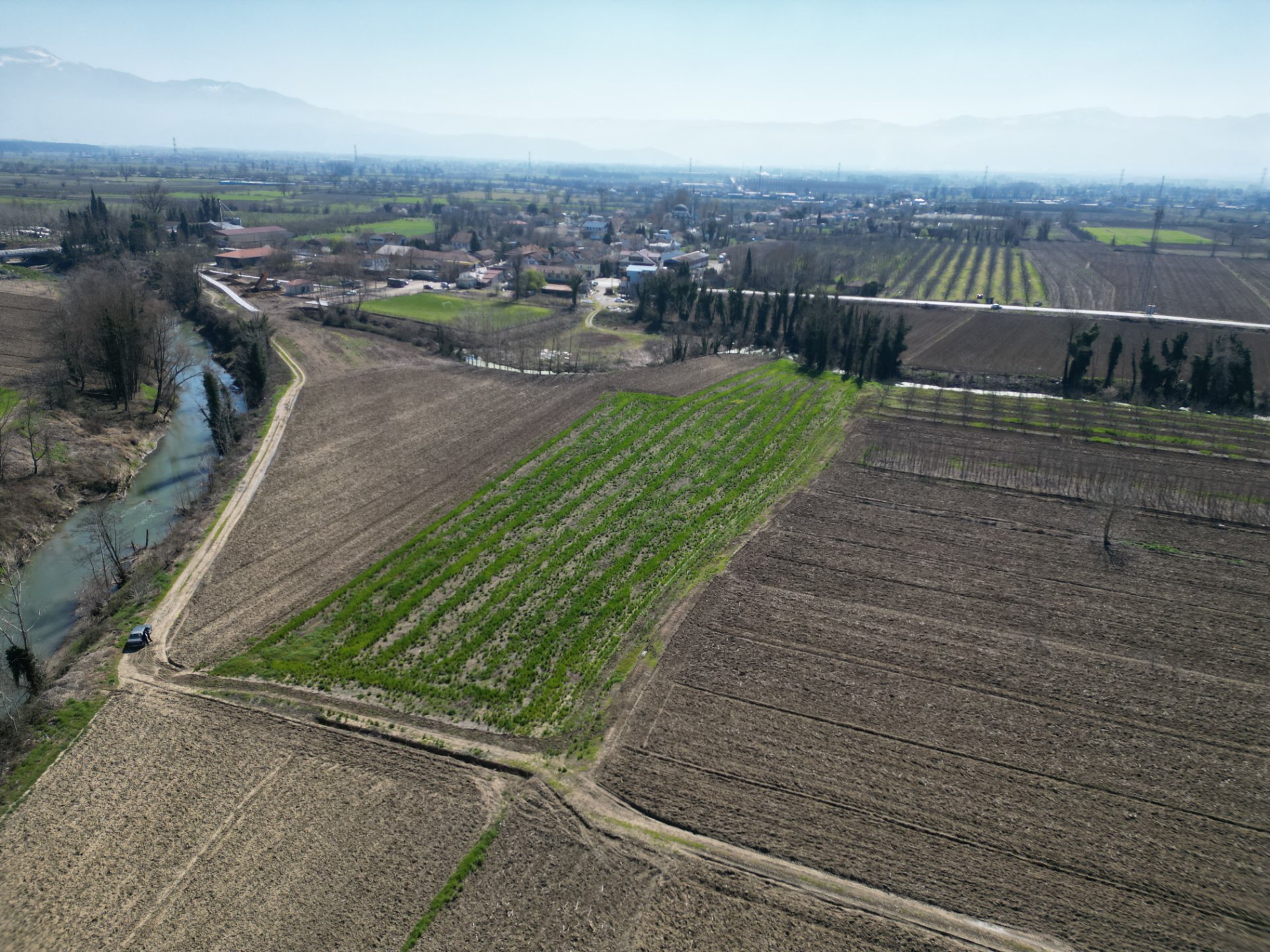 Sakarya Hendek Sofular’da Satılık 7.724 m² Tarla | Yatırımlık Büyük Arazi - Satılık Arsa fotoğraf 6