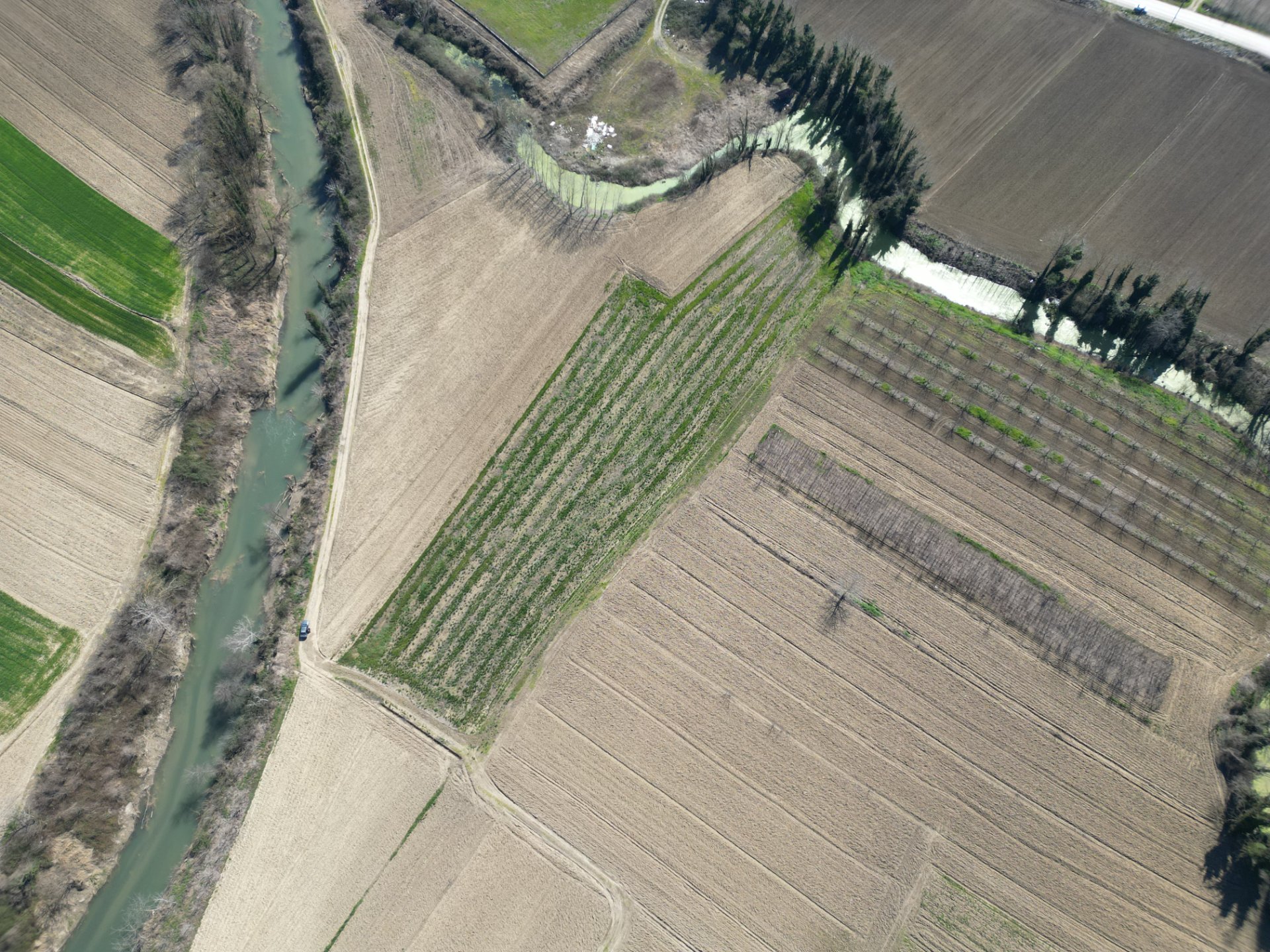 Sakarya Hendek Sofular’da Satılık 7.724 m² Tarla | Yatırımlık Büyük Arazi - Satılık Arsa fotoğraf 12