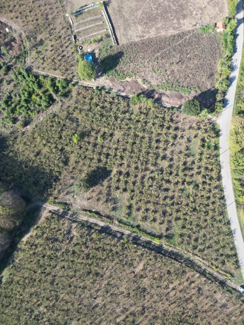 Sakarya Hendek Tagorek Satılık Tarla - Satılık Arsa fotoğraf 3