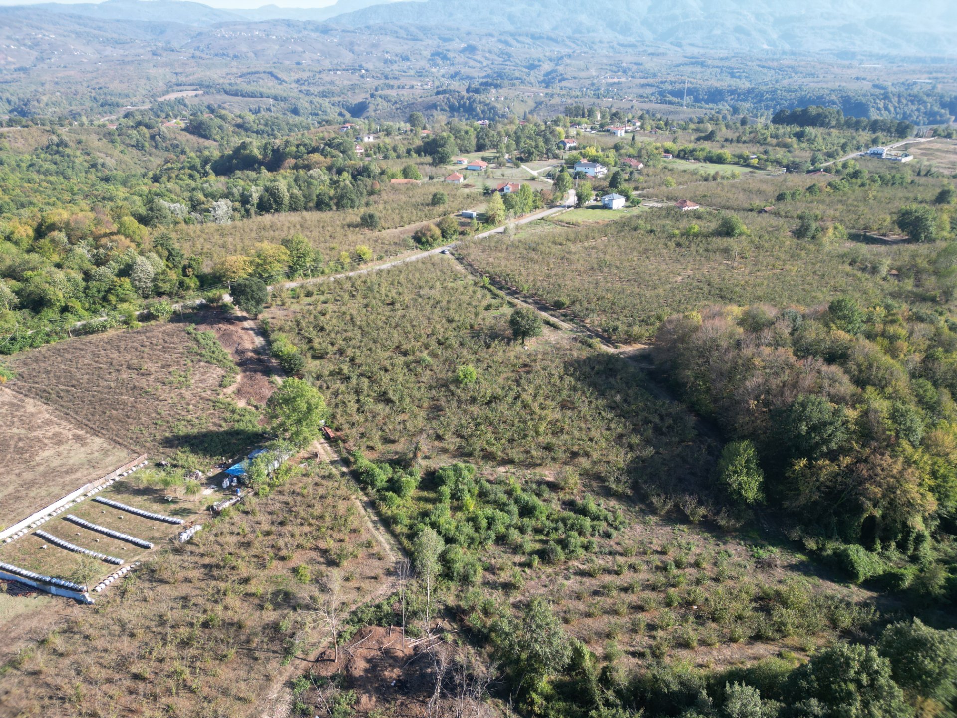 Sakarya Hendek Tagorek Satılık Tarla - Satılık Arsa fotoğraf 9