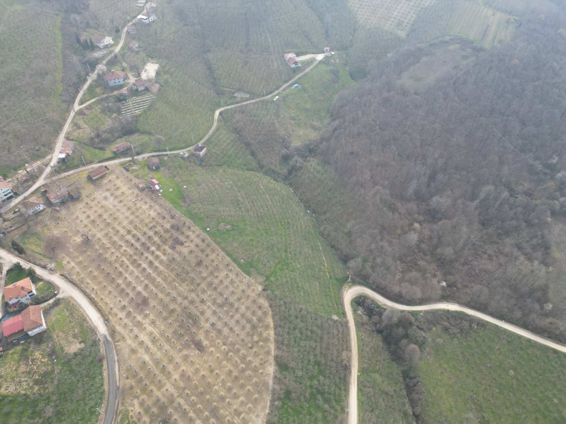 Sakarya Hendek Karaçökek Satılık Tarla 3.314 m² – Uygun Fiyatlı Yatırım - Satılık Tarla fotoğraf 3