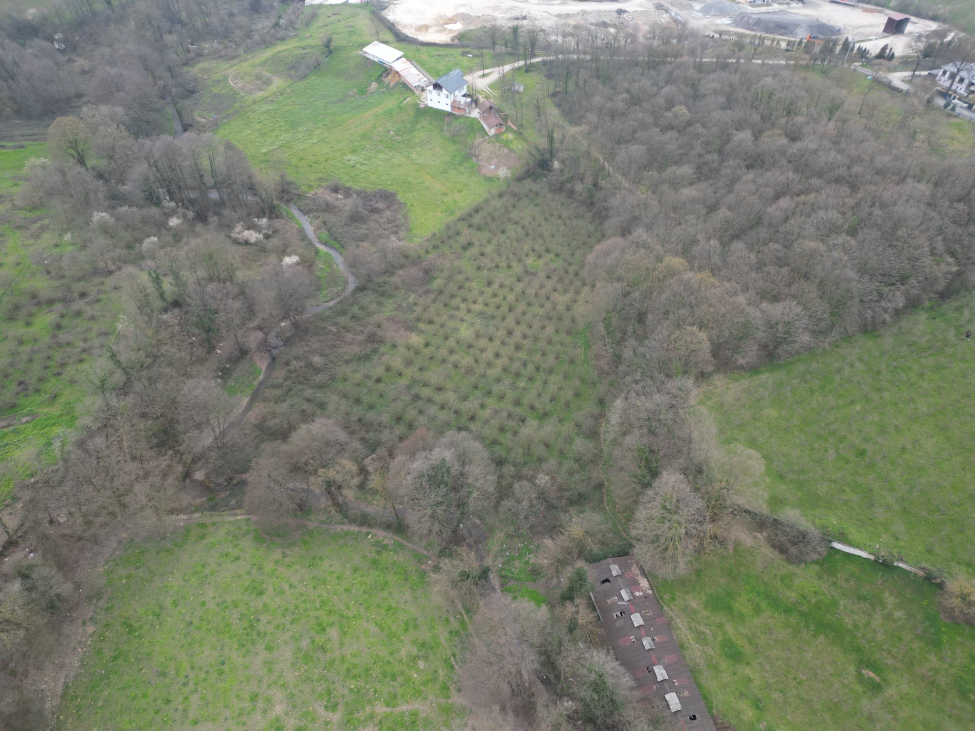 Sakarya Hendek Lütfiyeköşk Toplu Satılık Fındık Bahçesi – 5.785 m² - Satılık Arsa fotoğraf 2