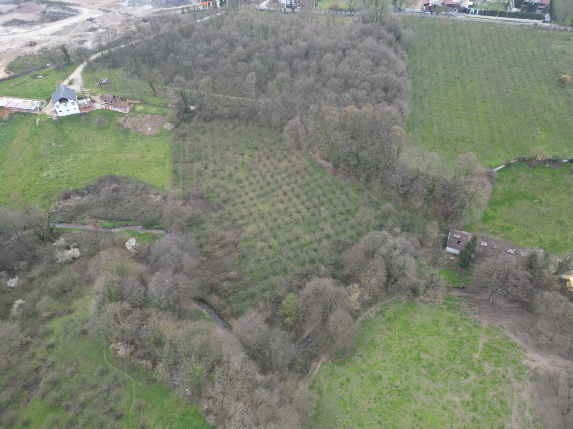 Sakarya Hendek Lütfiyeköşk Toplu Satılık Fındık Bahçesi – 5.785 m² - Satılık Arsa fotoğraf 3