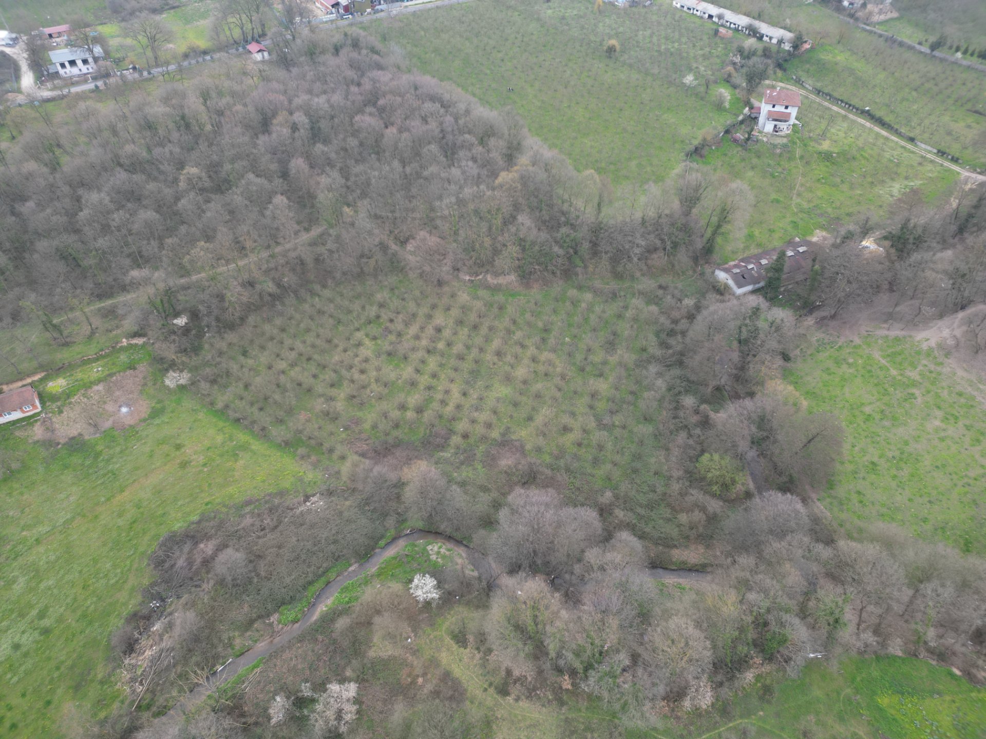 Sakarya Hendek Lütfiyeköşk Toplu Satılık Fındık Bahçesi – 5.785 m² - Satılık Arsa fotoğraf 4