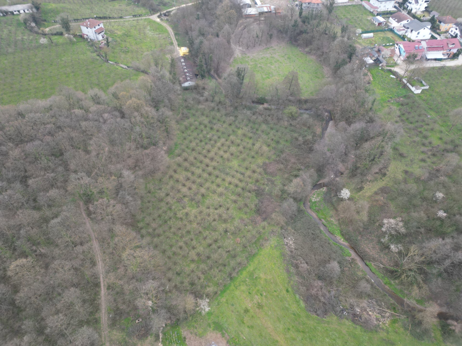 Sakarya Hendek Lütfiyeköşk Toplu Satılık Fındık Bahçesi – 5.785 m² - Satılık Arsa fotoğraf 5