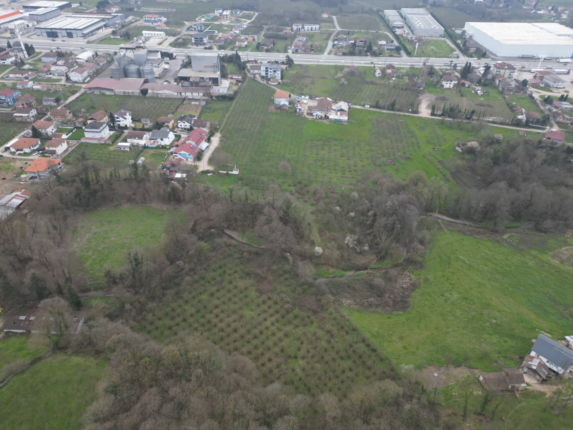 Sakarya Hendek Lütfiyeköşk Toplu Satılık Fındık Bahçesi – 5.785 m² - Satılık Arsa fotoğraf 6