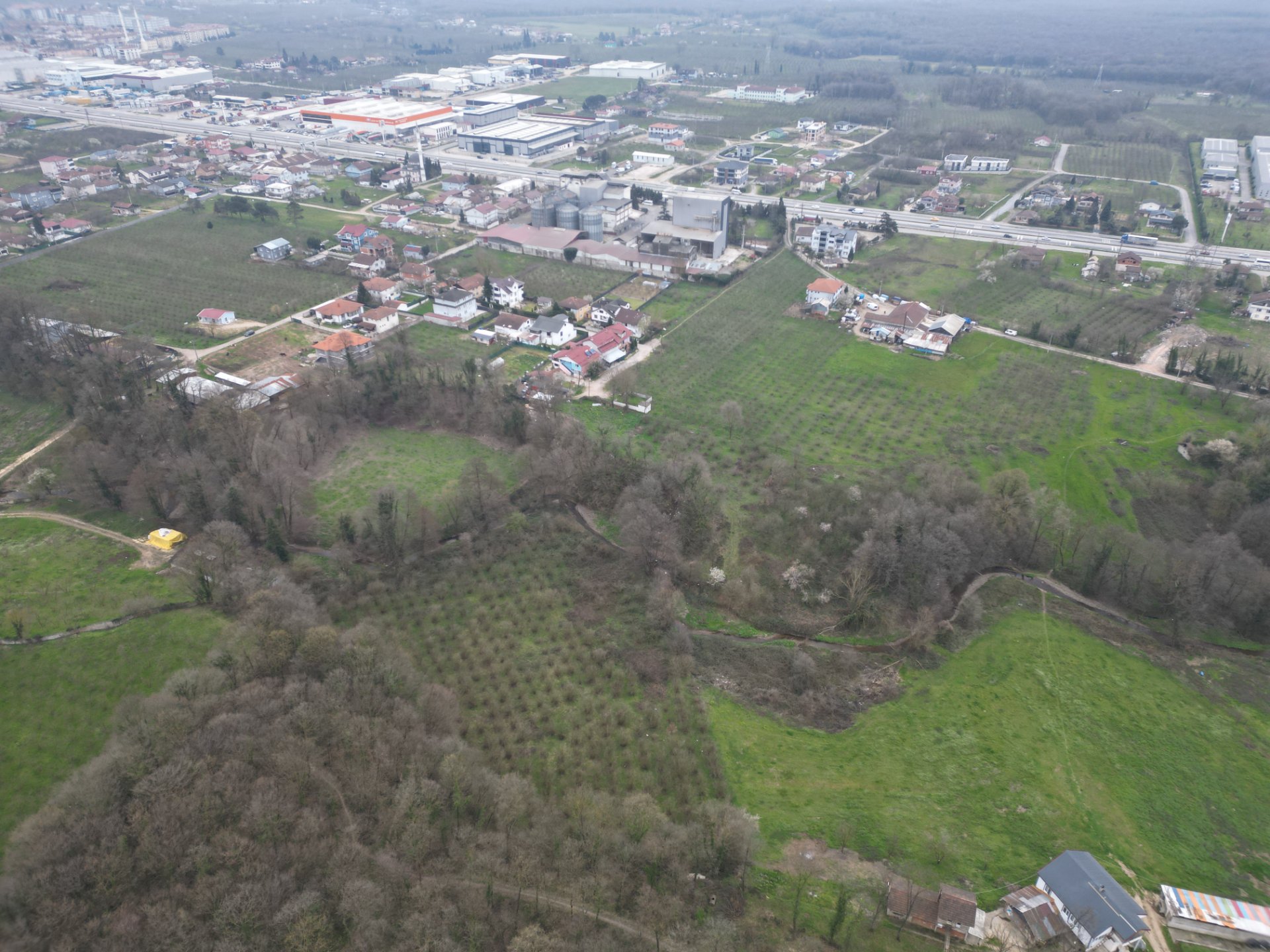Sakarya Hendek Lütfiyeköşk Toplu Satılık Fındık Bahçesi – 5.785 m² - Satılık Arsa fotoğraf 7