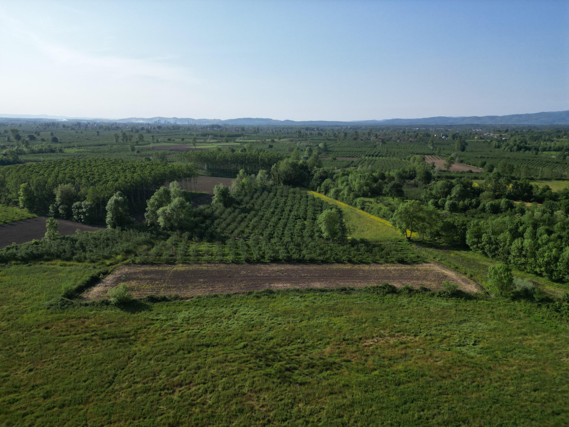 Hendek Sarıyer'de 4443m² Satılık Tarla fotoğraf 2