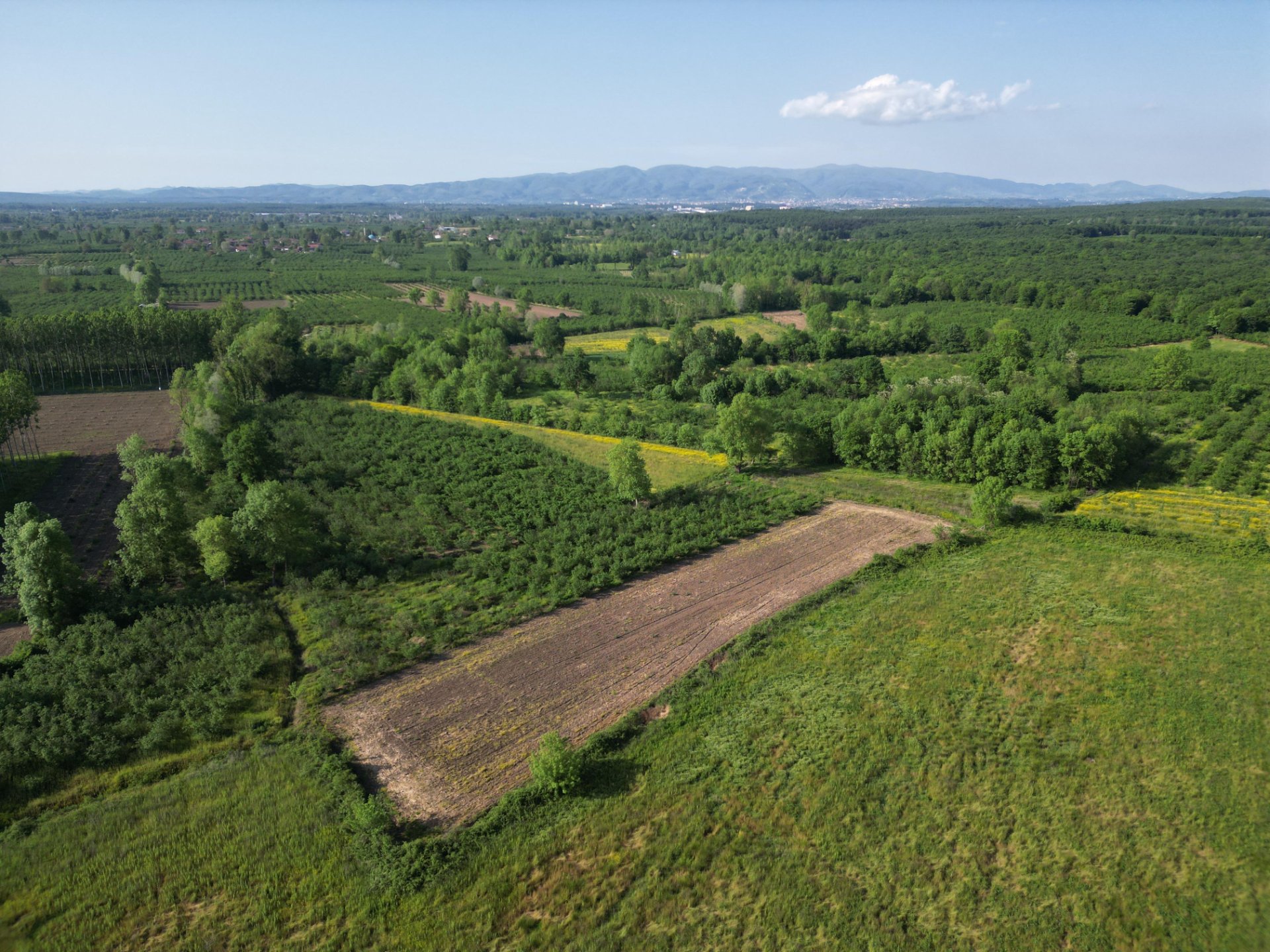 Hendek Sarıyer'de 4443m² Satılık Tarla fotoğraf 3