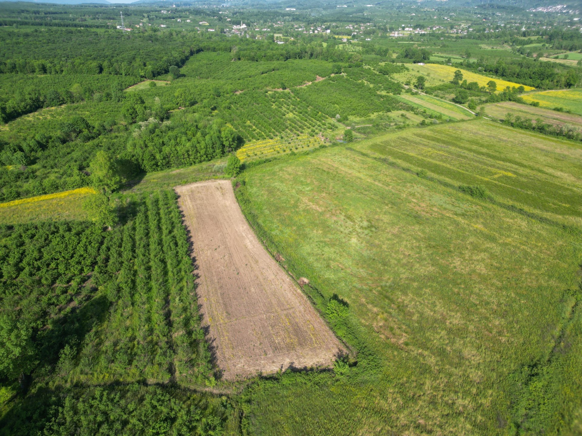 Hendek Sarıyer'de 4443m² Satılık Tarla fotoğraf 5