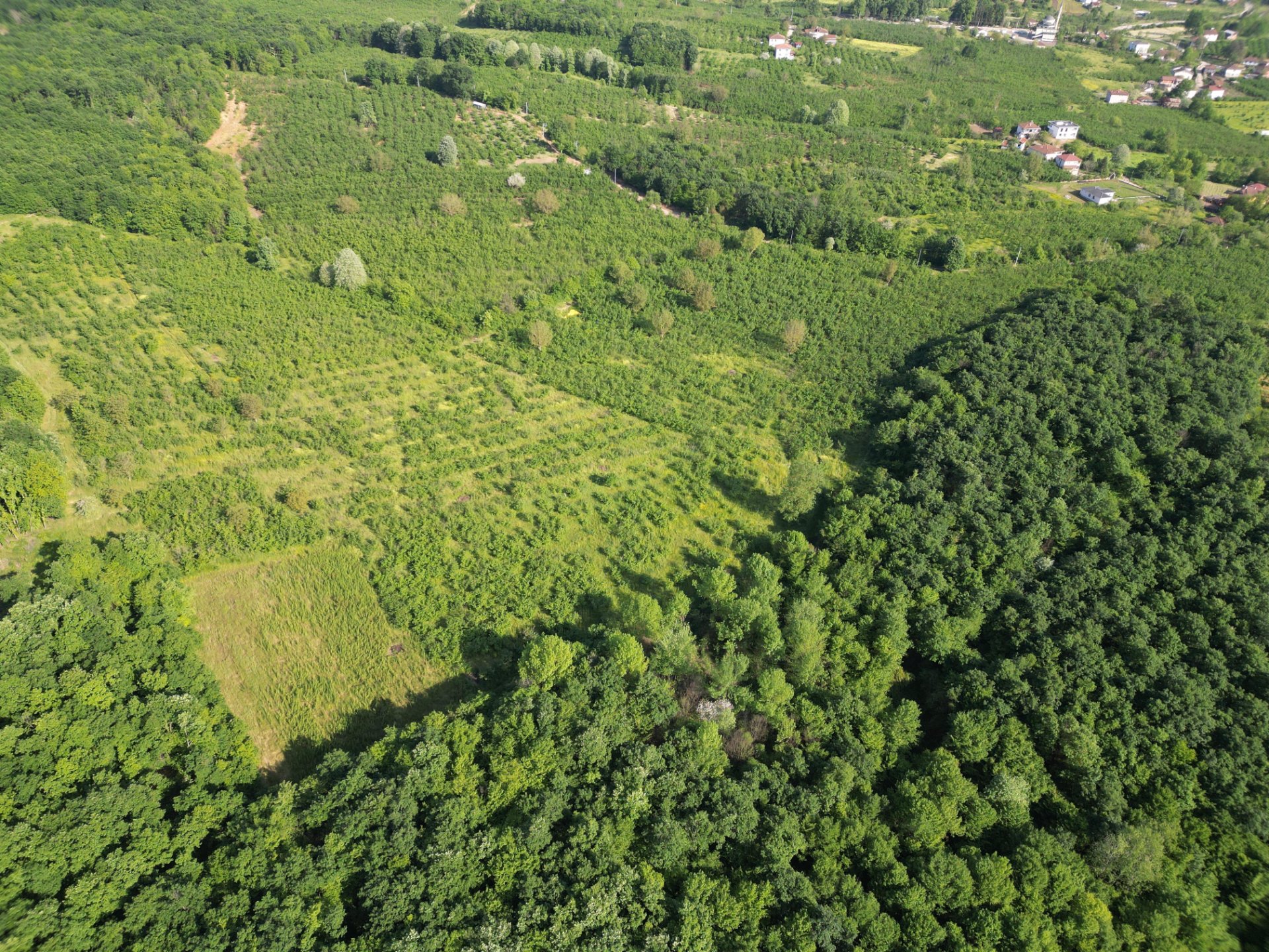 Sakarya Hendek Sarıyer'de 3164m² Tarla Satılık fotoğraf 6