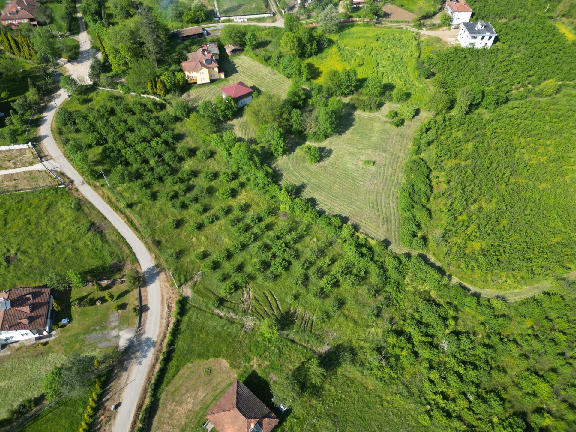 Hendek Sarıyer'de 8735m² İmarlı Arsa Satılık fotoğraf 6