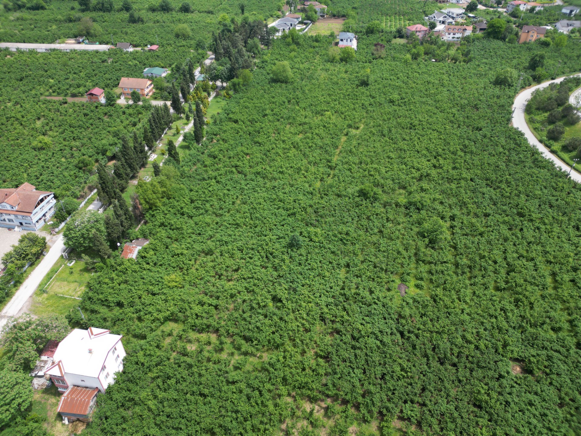 Sakarya Hendek Büyükdere'de 3 Kat İmarlı 450m² Arsa fotoğraf 2