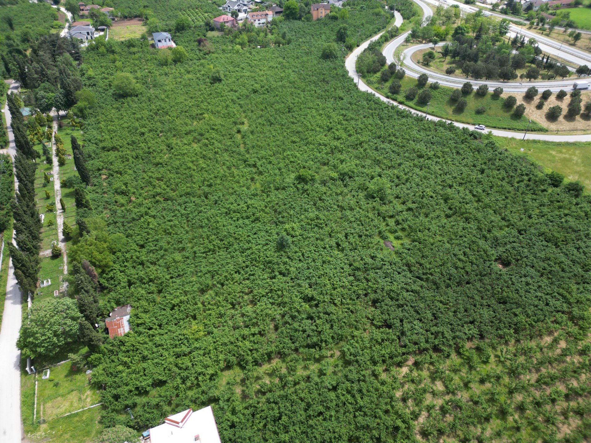 Sakarya Hendek Büyükdere'de 3 Kat İmarlı 450m² Arsa fotoğraf 3