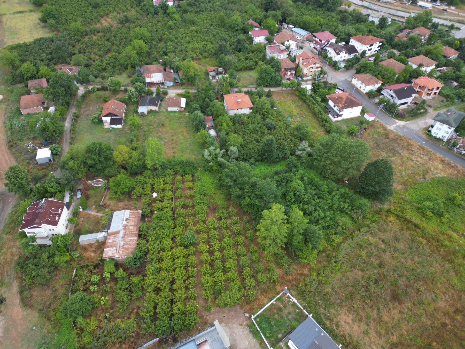 Hendek Başpınar Mahallesi Satılık İmarlı Arsa - 1256m² fotoğraf 6