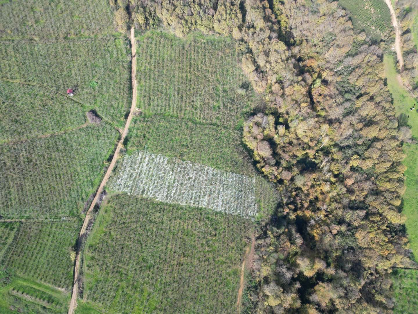 Satılık Arsa - Lütfiyeköşk Mahallesi, 2700 m² 2.0 Milyon TL fotoğraf 2